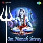 Om Namah Shivay Dhun