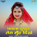 Patla dupatta tera munh dikhe (Hindi)