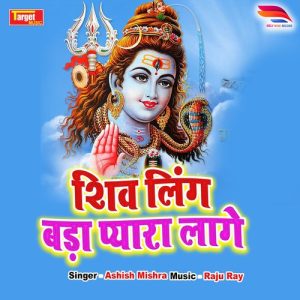 shiv ling bara payara lage Album Art