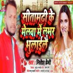 Sitamadhi Ke Melwa Me Bhulaylai