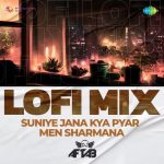 Suniye Jana Kya Pyar Men Sharmana Lofi Mix