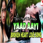 Teri Meri Kahani