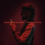 WARNING SHOTS