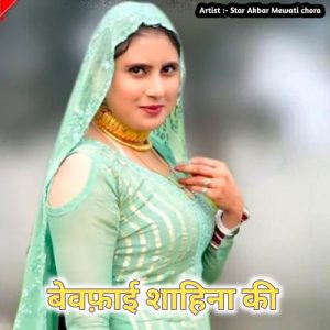 बेवफ़ाई शाहिना की Album Art