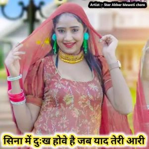 सिना में दुःख होवे है जब याद तेरी आरी Album Art